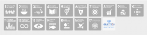 A arte mostra os 17 cards dos ODS da ONU
