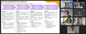 A imagem mostra uma reunião virtual em andamento. De um lado, podemos ver uma apresentação sendo feita e, de outro, alguns dos participantes do encontro
